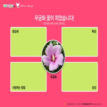 [STEAM & smart] 감성쫑이의 스토리텔링 사회교실5 : 우리나라 꽃 무궁화(10묶음)