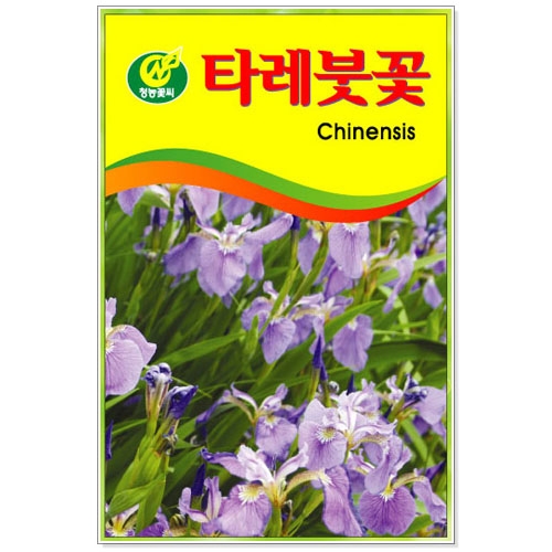[CNS] ◆ 꽃씨 타레붓꽃 15립 (5개이상주문)