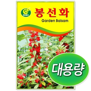 [CNS] ◆ 대용량 봉선화 100g/300g 꽃씨앗