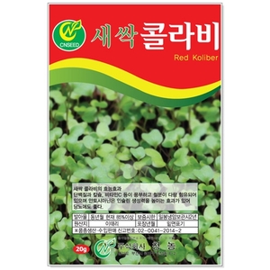 [CNS] 새싹콜라비 20g 새싹씨앗